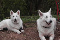 Keona & Coralie, 11 Jahre & 4 Jahre